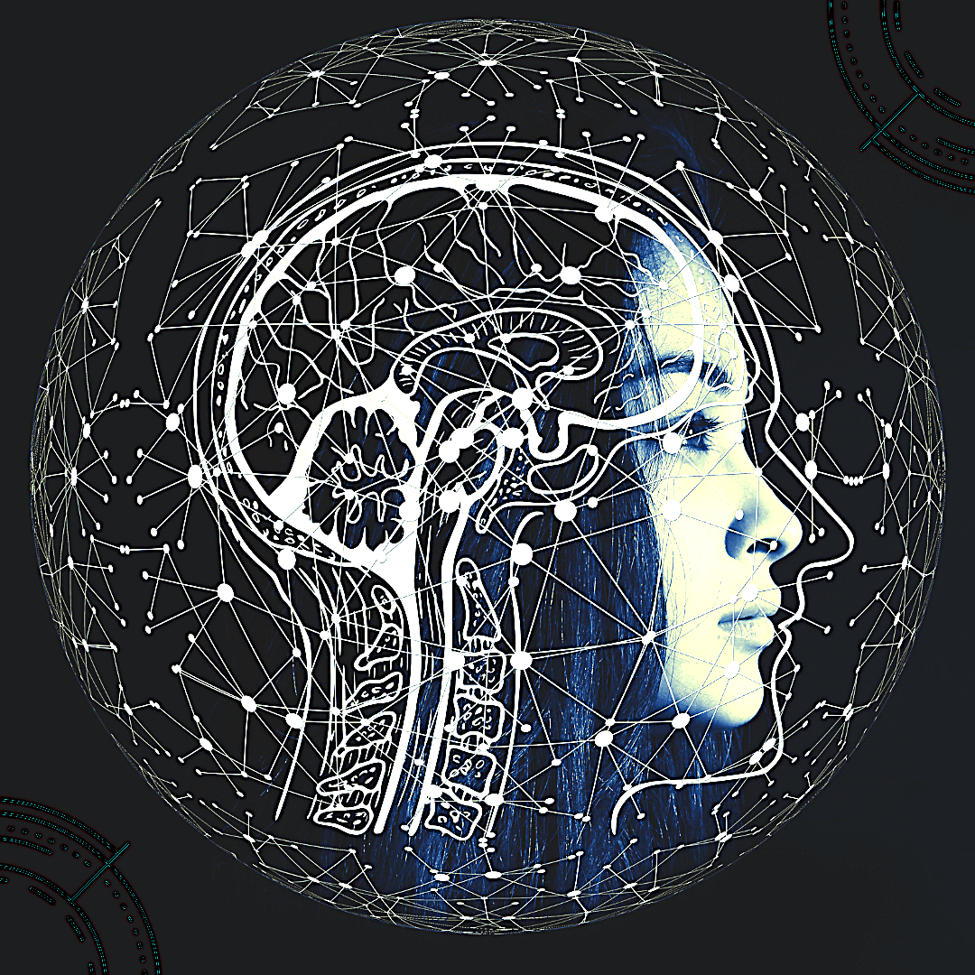 Conhecimento necess&aacute;rio para compreender o Neurodesenvolvimento